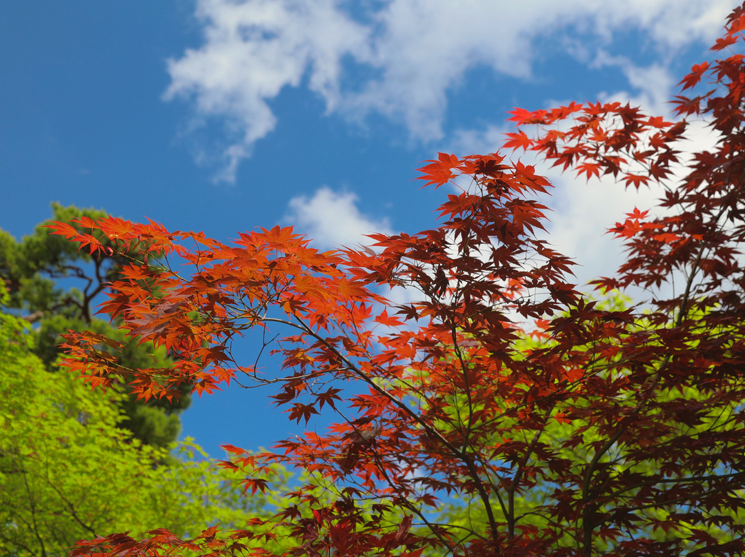 Michi-no-Eki Teien-no-sato Honai-三条市必去景点