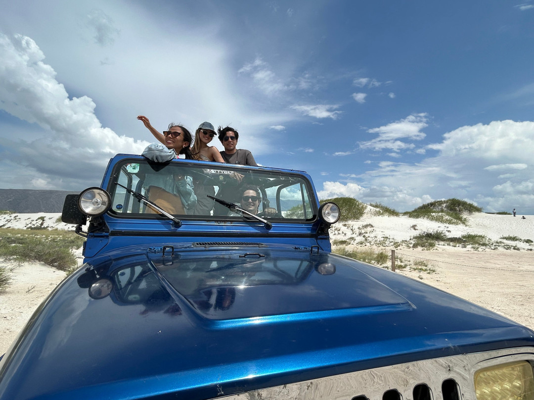 Roadrunner Coahuila Desert-Cuatro Cienegas必去景点