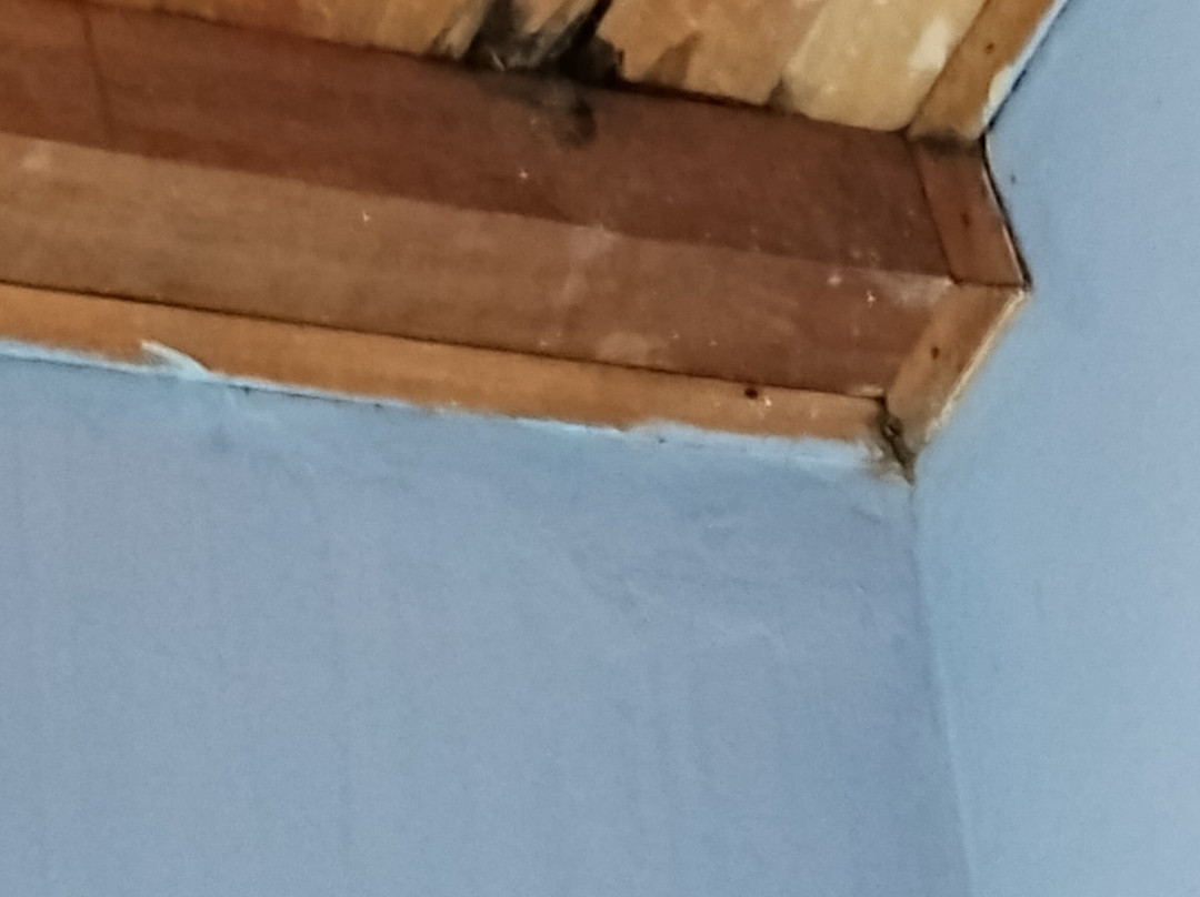 Hotel Villa Paz主图