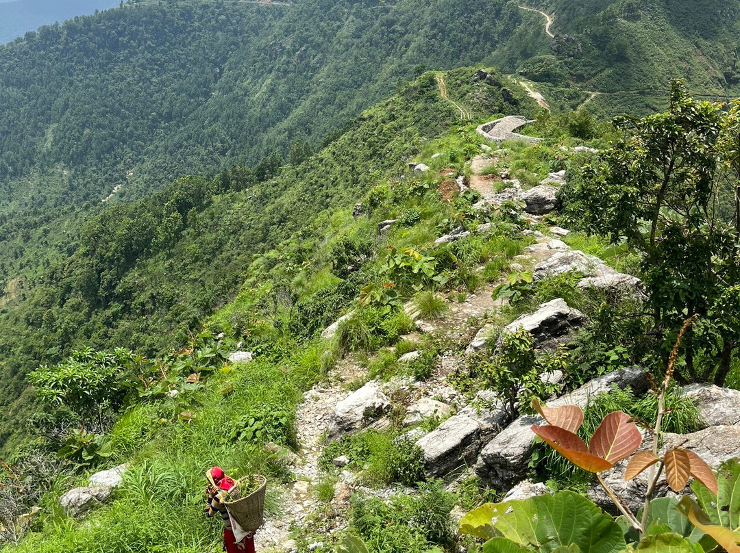 Bandipur Samira Homestay & Mountain View Restaurant主图