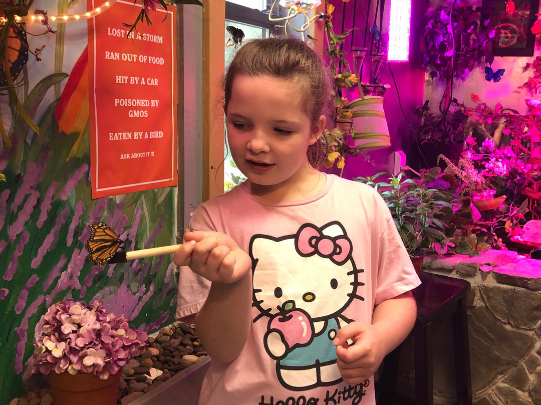 Bear Mountain Butterfly Sanctuary景点图片