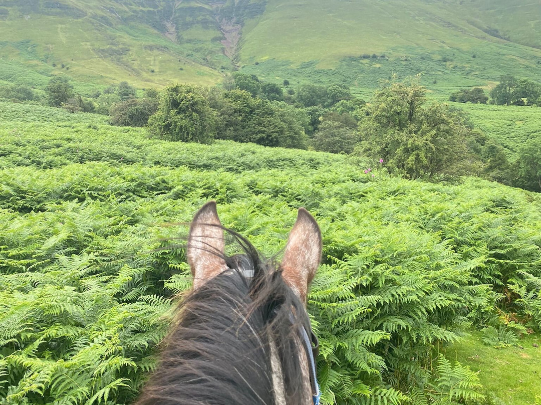 Tregoyd Mountain Riders景点图片