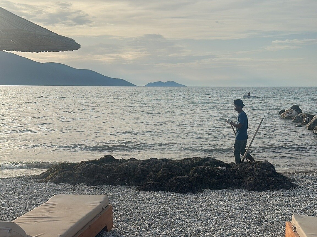 雷吉娜棕榈度假村