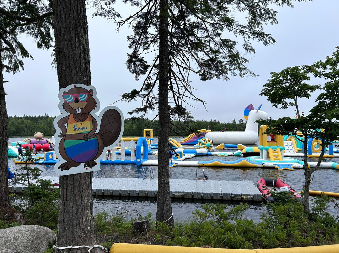 Splashifax景点图片