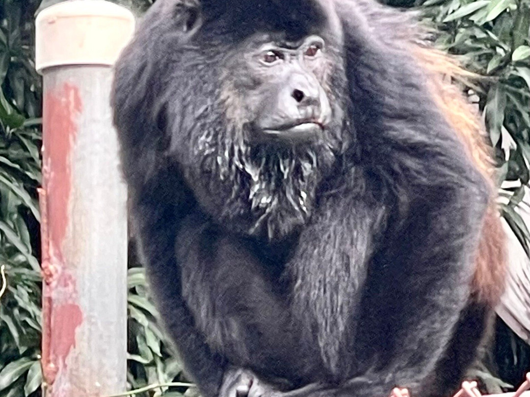 Hotel Laguna Mar主图