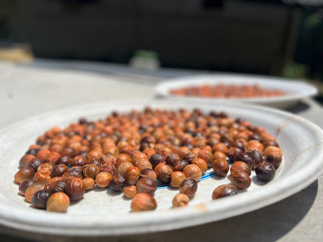 Ghee Hup Nutmeg Factory-浮罗山背必去景点