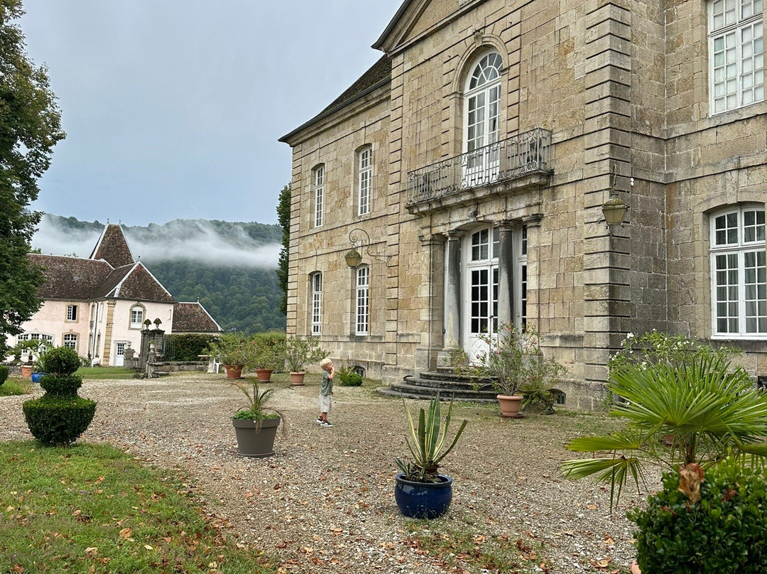 Chateau de Vaire-le-Grand景点图片