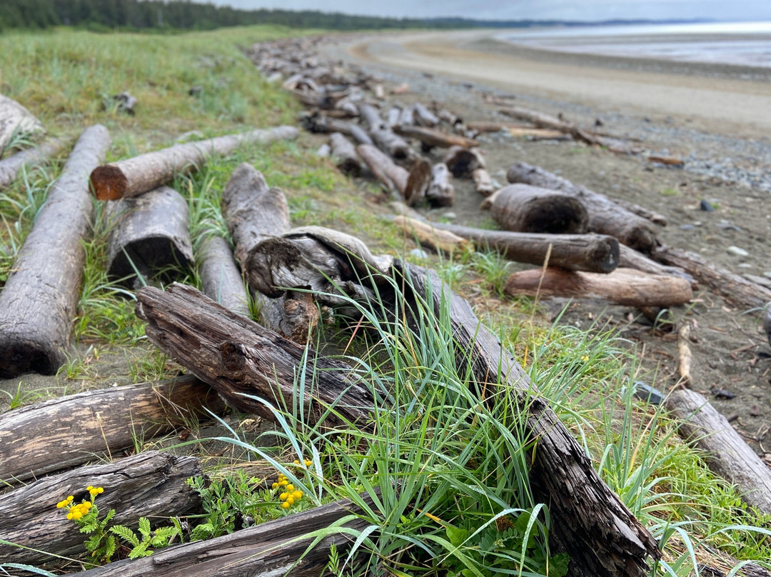 Haida House at Tllaal主图
