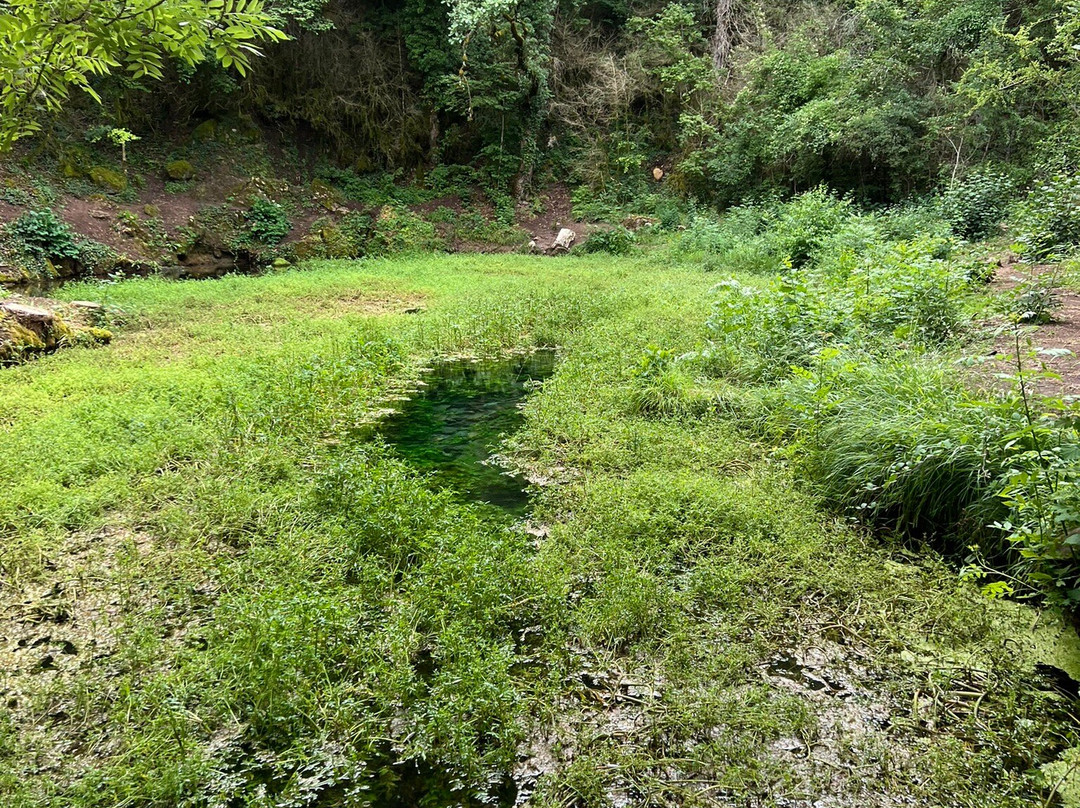 La Source du Durzon-Nant必去景点