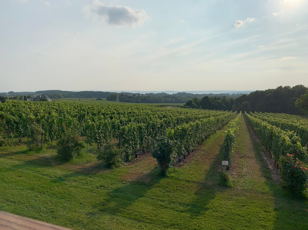 The Inn at Chateau Grand Traverse主图