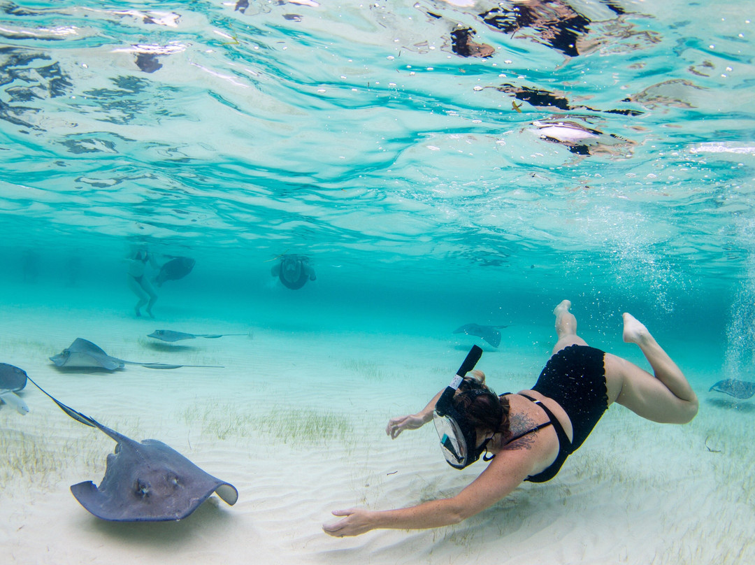 Cayman Kind Watersports