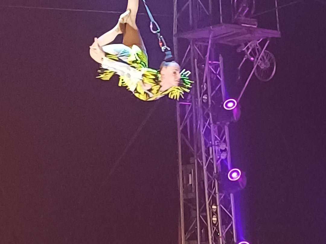 Circus Gerbola-Lucan必去景点