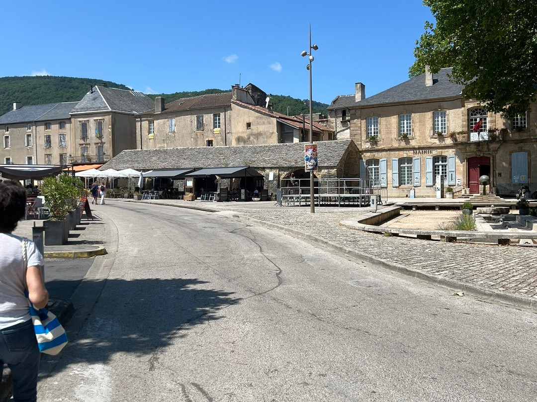 Halles de Nant du 18 eme inscrit M.H.景点图片