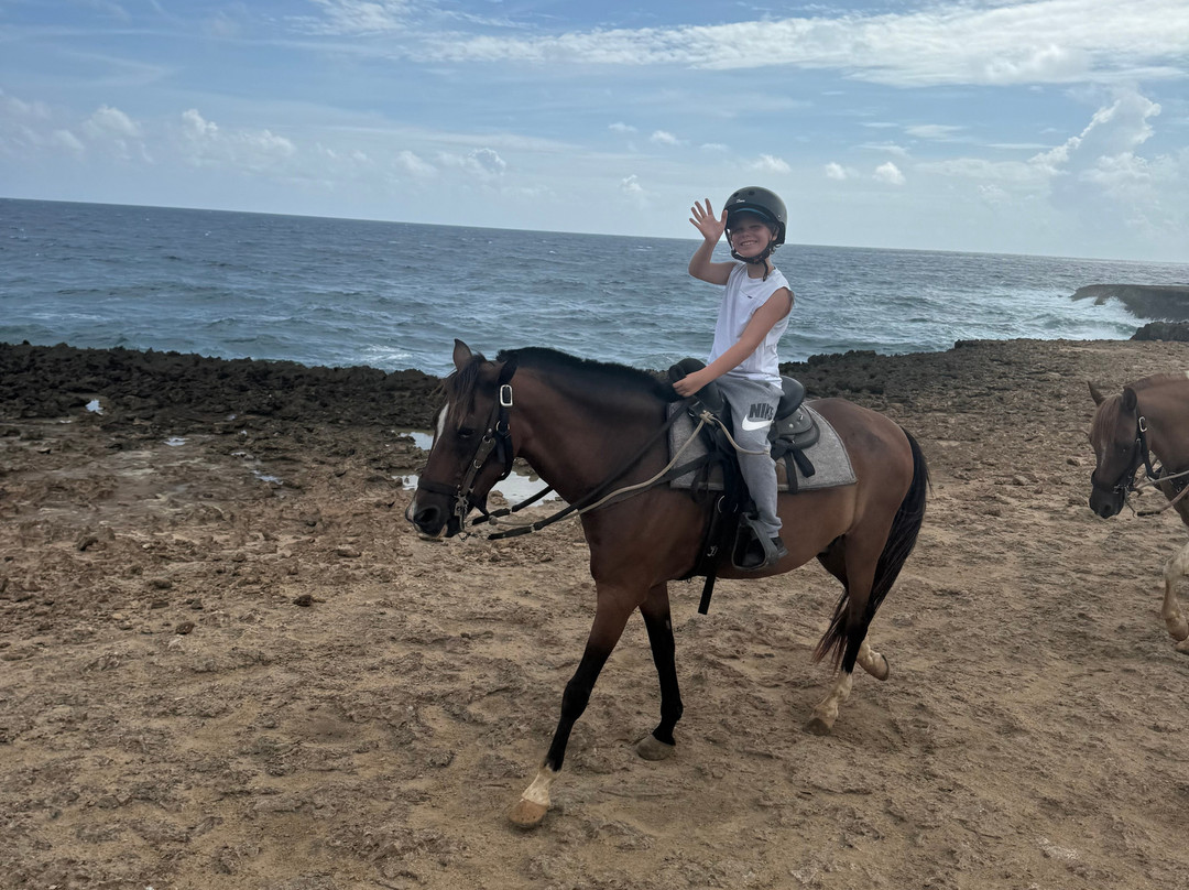 ArubaHorseTour-Paradera必去景点