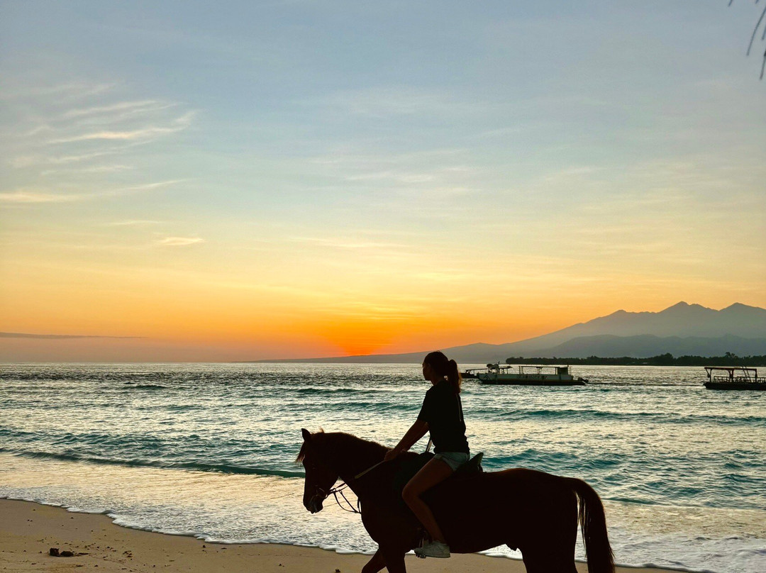 King Stable Horse Riding Tour-Gili Meno必去景点