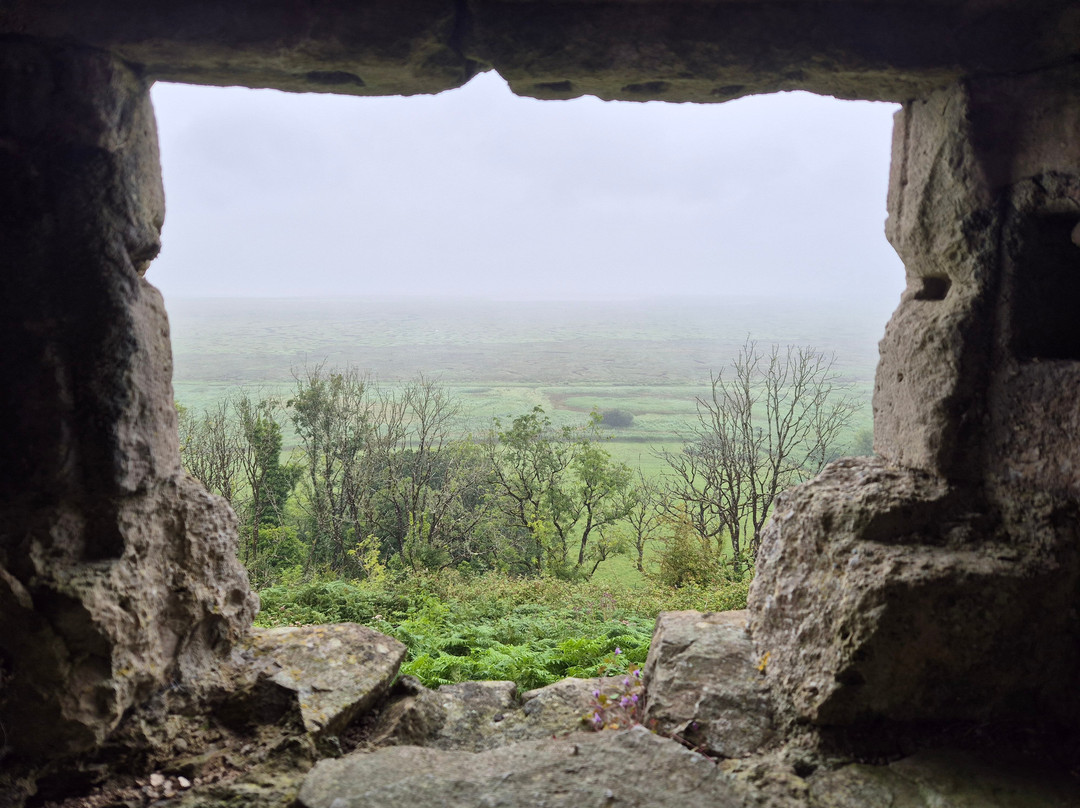 Weobley Castle景点图片