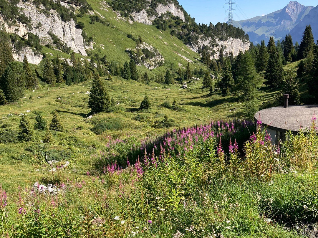 Luftseilbahn Kandersteg-sunnbüel-坎德斯泰格必去景点