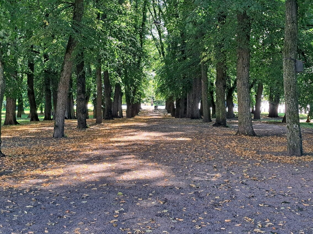 The Palace Park-奥斯陆必去景点