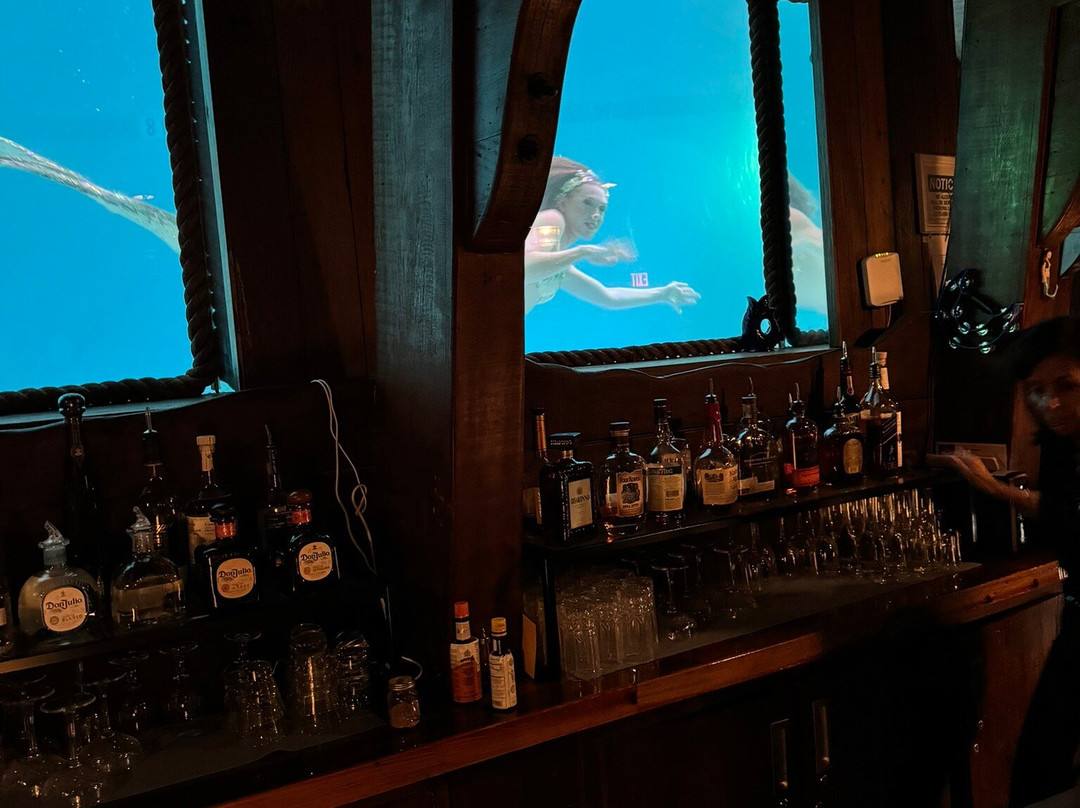 The Wreck Bar-劳德代尔堡必去景点