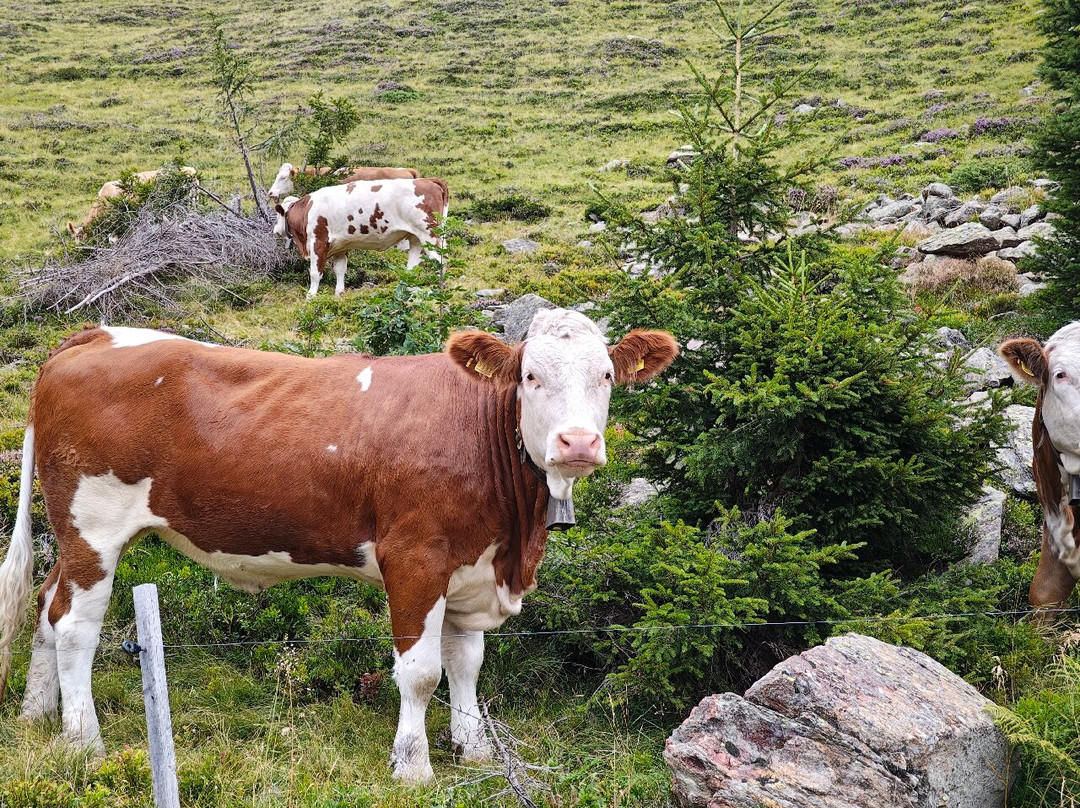 Feldrand hotel主图