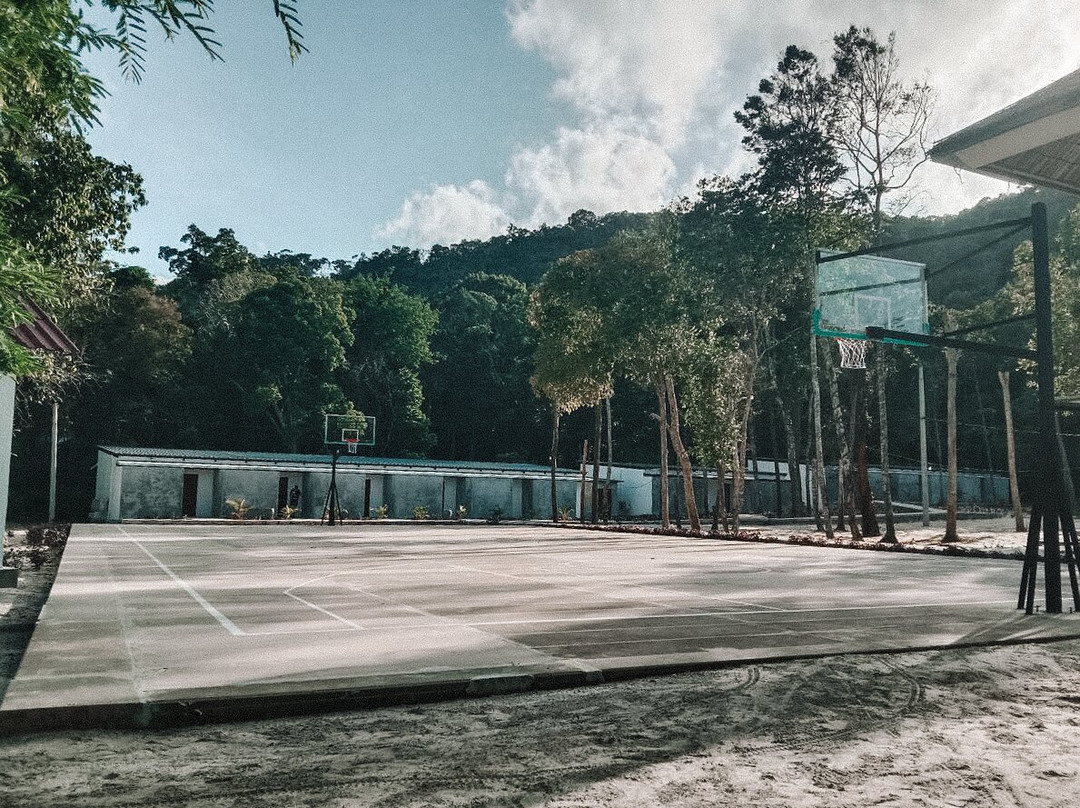 Island Center Point主图