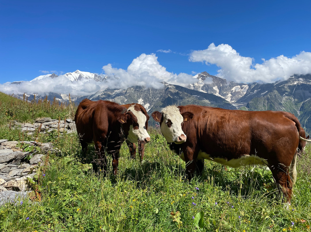 Col du Joly-Hauteluce必去景点