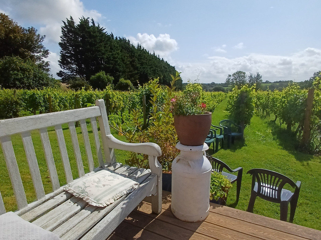 Glyndwr Vineyard-卡迪夫必去景点