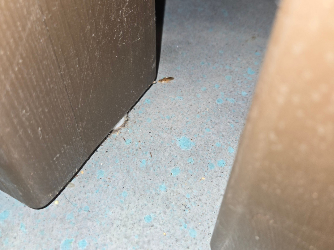 Kalani Retreat Center主图