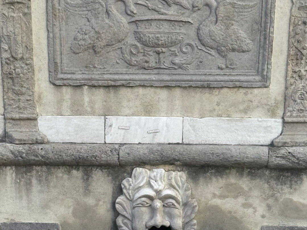 Fontana di San Rocco景点图片
