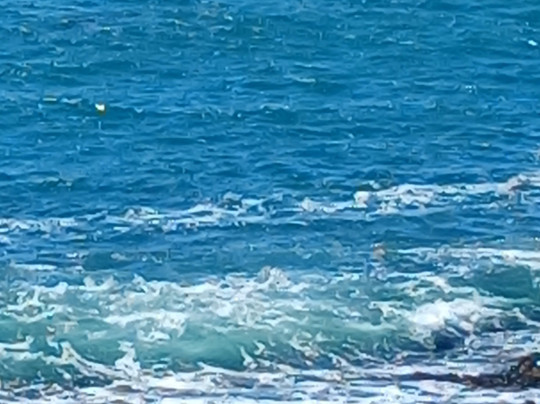 The Whale Watching Center-Depoe Bay必去景点