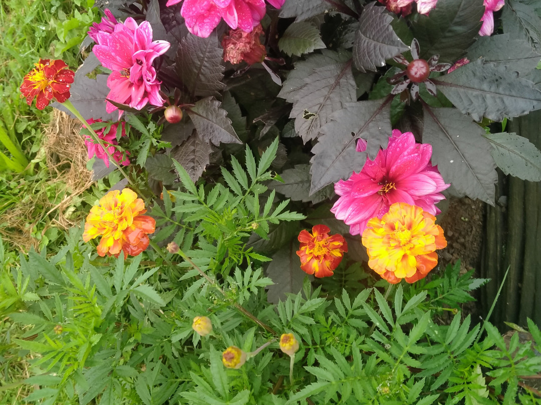 阿提克索拉乡村公寓酒店主图