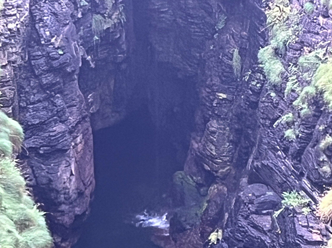 Mull Head Nature Reserve-Deerness必去景点
