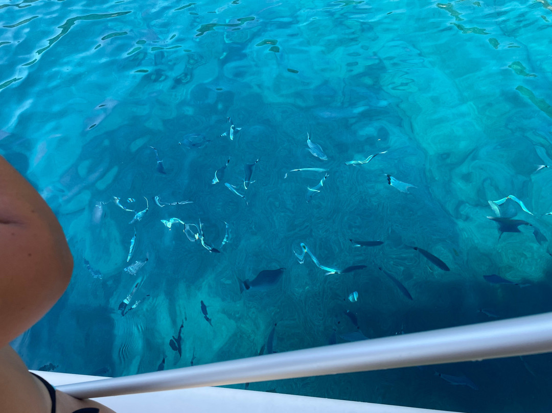 Pirates rent a boat-萨米必去景点