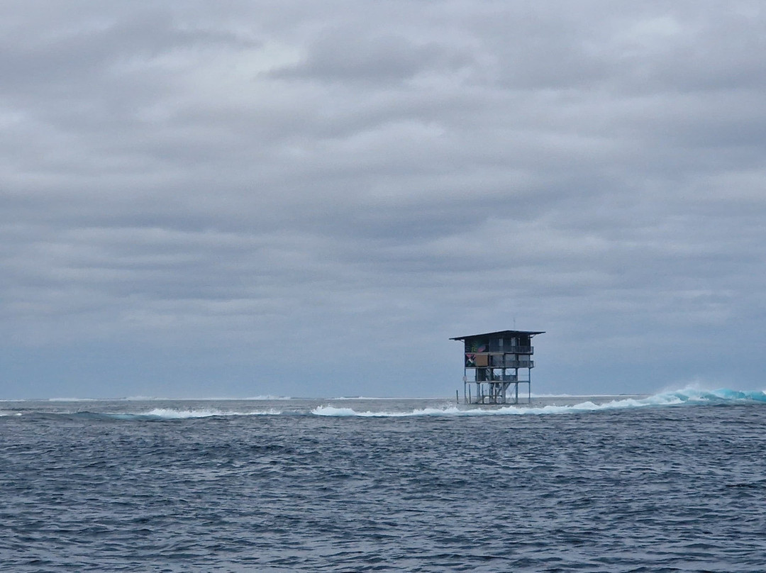 Tahiti Boat Excursion & Surf景点图片