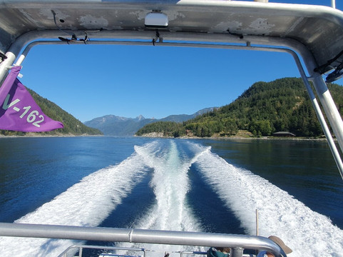 Campbell River Whale and Bear Excursions-坎贝尔里弗必去景点