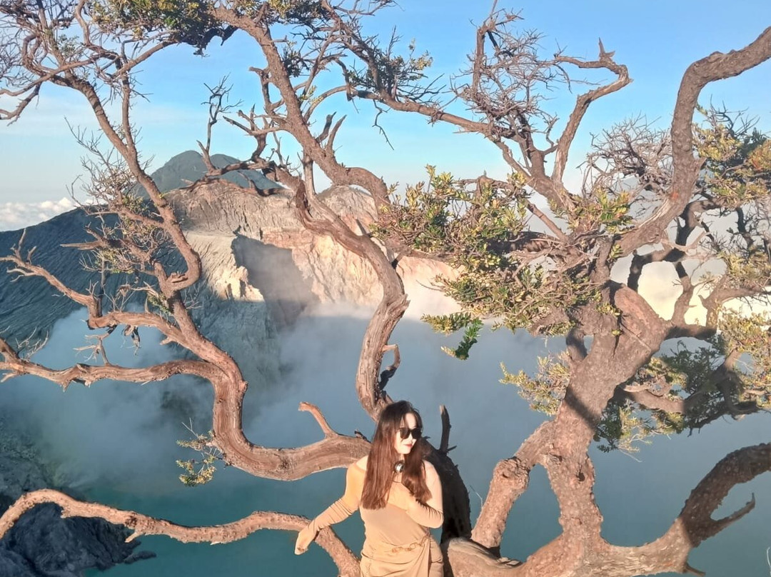 Wonderful Bromo景点图片