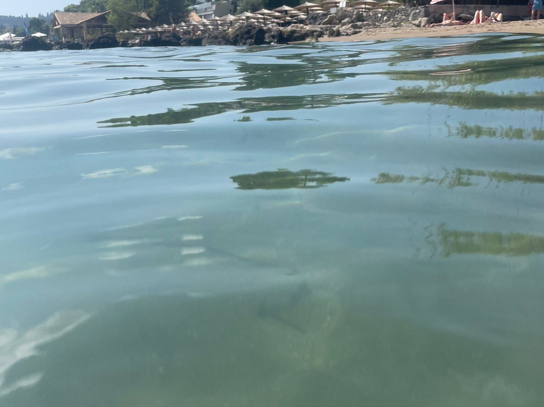 Kontokali Beach景点图片