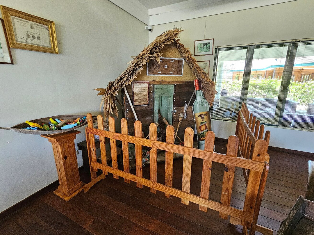 Surinaamsch Rumhuis-帕拉马里博必去景点