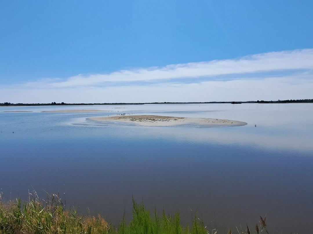 Prime Hook National Wildlife Refuge-Milton必去景点