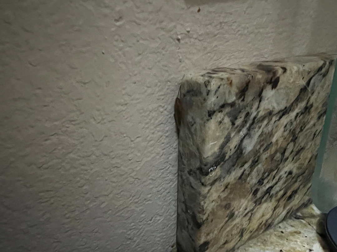 Candlewood Suites League City By IHG主图