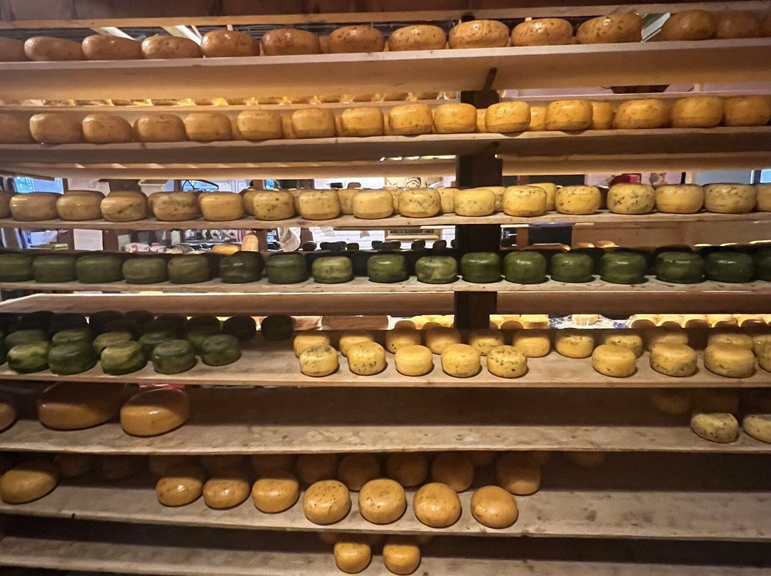 Clara Maria Cheese & Clog Farm景点图片