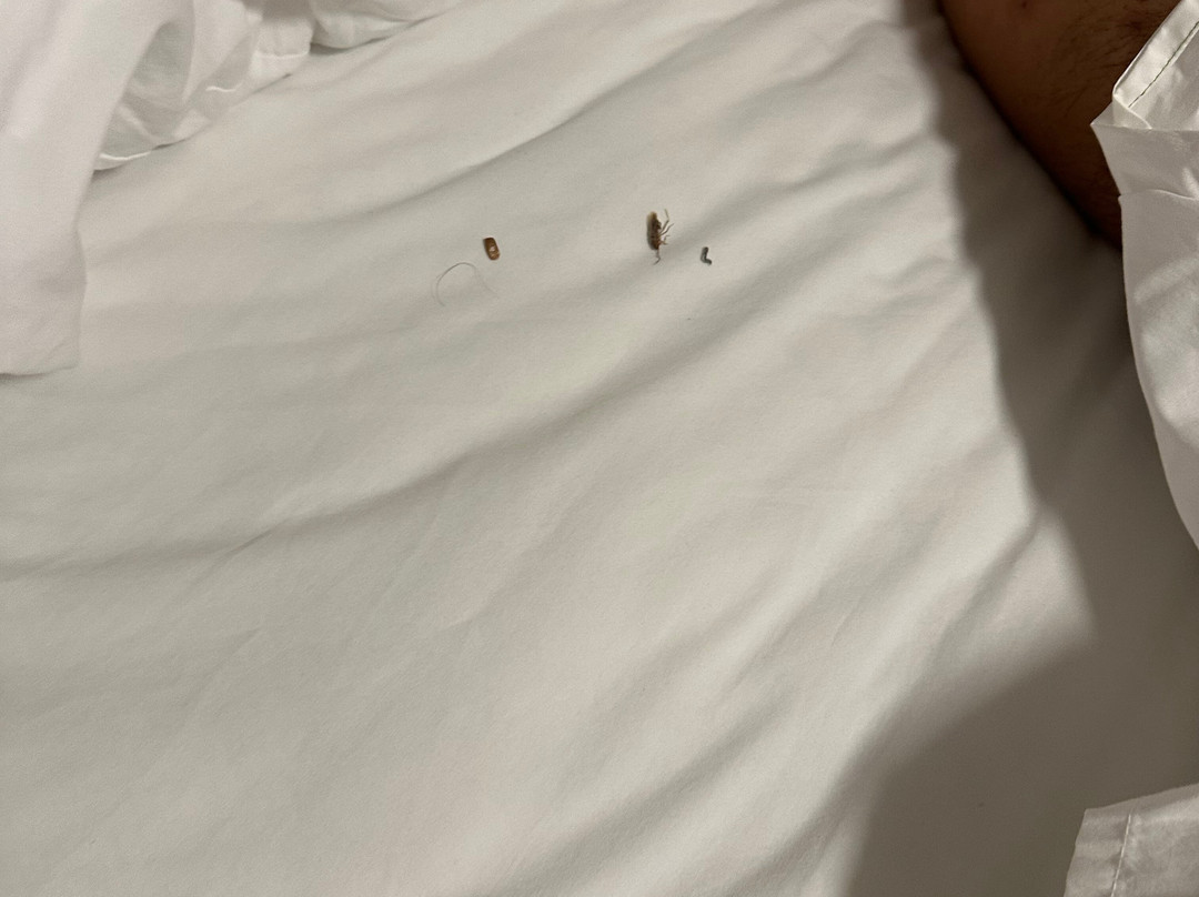 Best Western Visalia Hotel主图