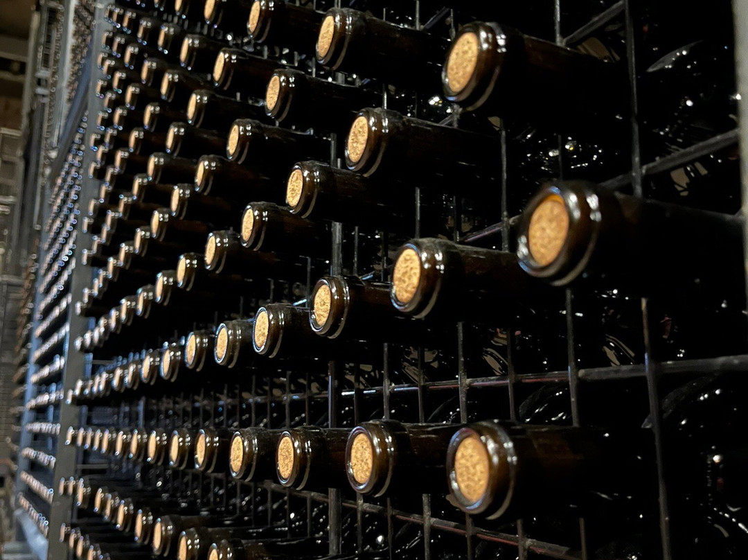 Bodegas Campo Viejo-洛格罗尼奥必去景点