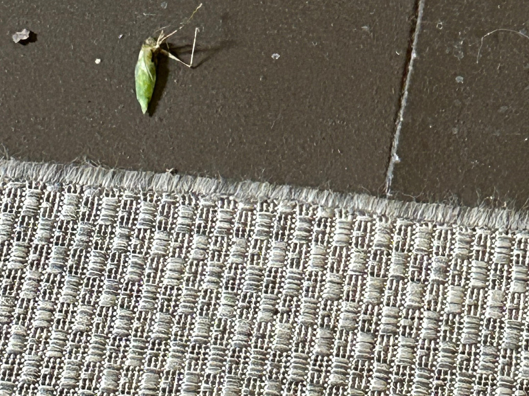 Lakeview at Fontana Inn & Treetop Soaking Cabanas主图