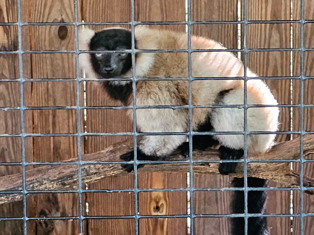 Creation Kingdom Zoo-Gate City必去景点