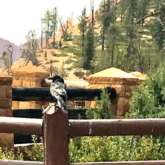 Natural Bridge-布莱斯必去景点