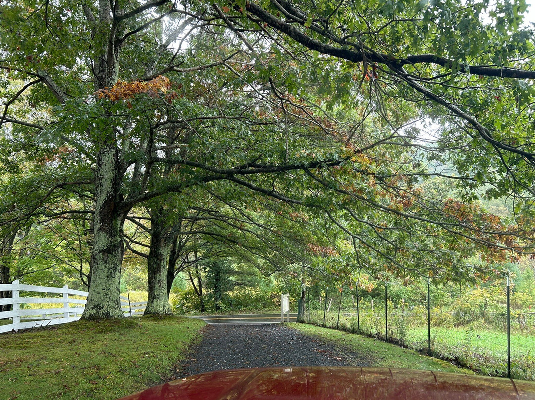 Buffalo Tavern Bed and Breakfast主图