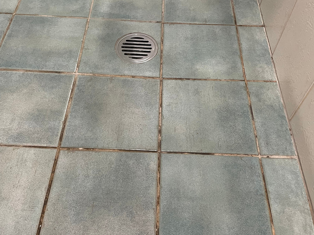 谢拉顿广场品质酒店主图