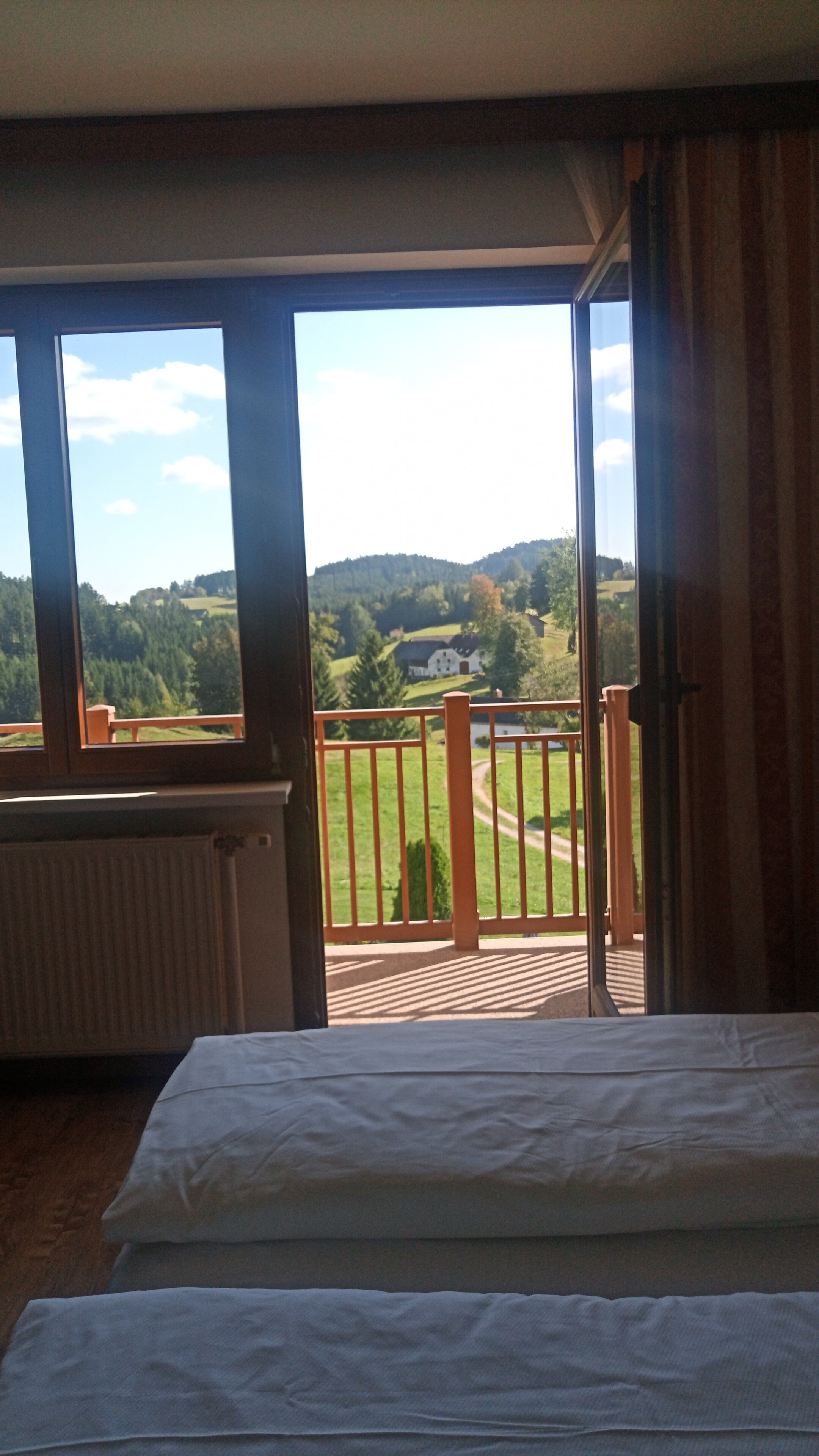 Hotel Rockenschaub-客卧