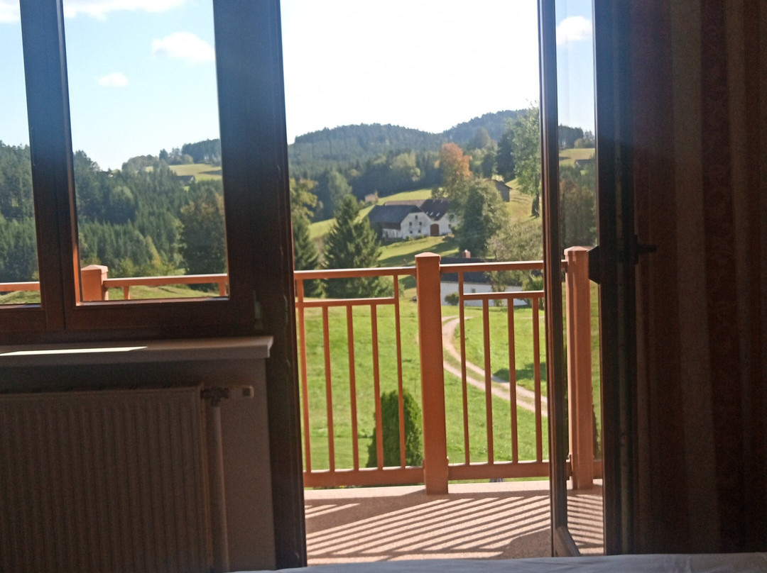 Hotel Rockenschaub主图